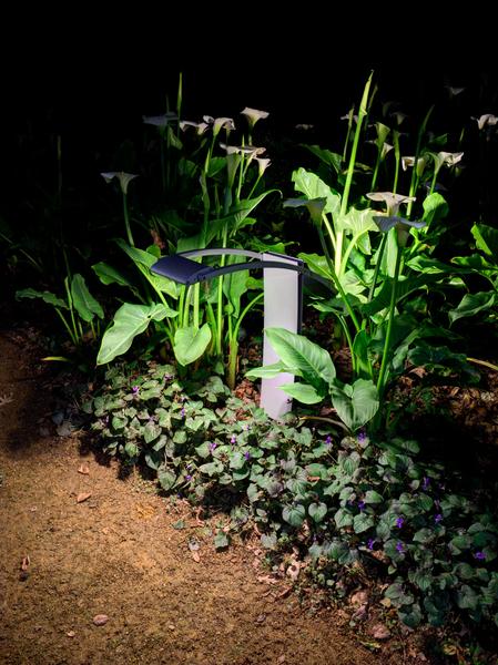 LINDSLEY LIGHTING â MANTIS PATHWAY